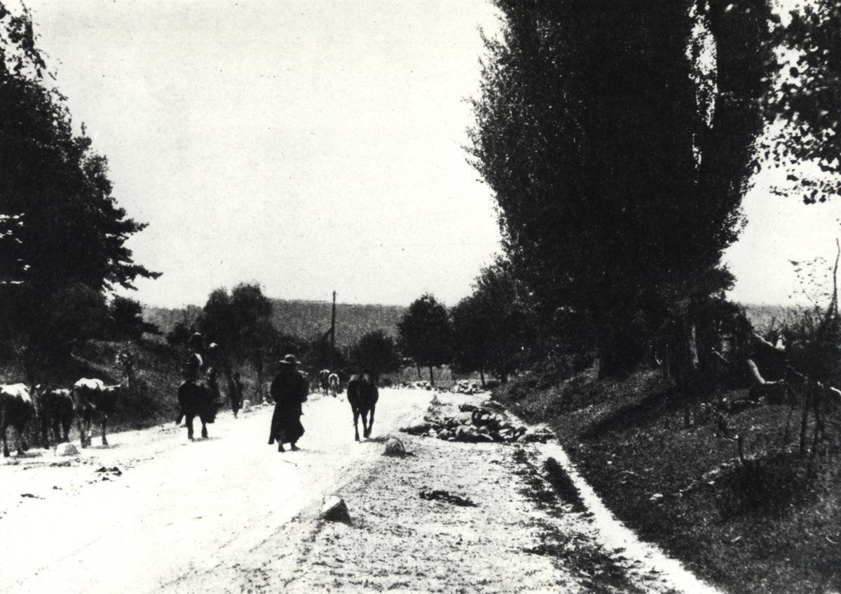 EU: Kazimierz Dolny. Widok ogólny (1919), Kazimierz Dolny, Poland, 1919