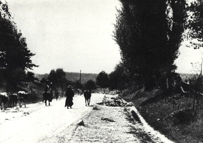 EU: Kazimierz Dolny. Widok ogólny (1919), Kazimierz Dolny, 1919