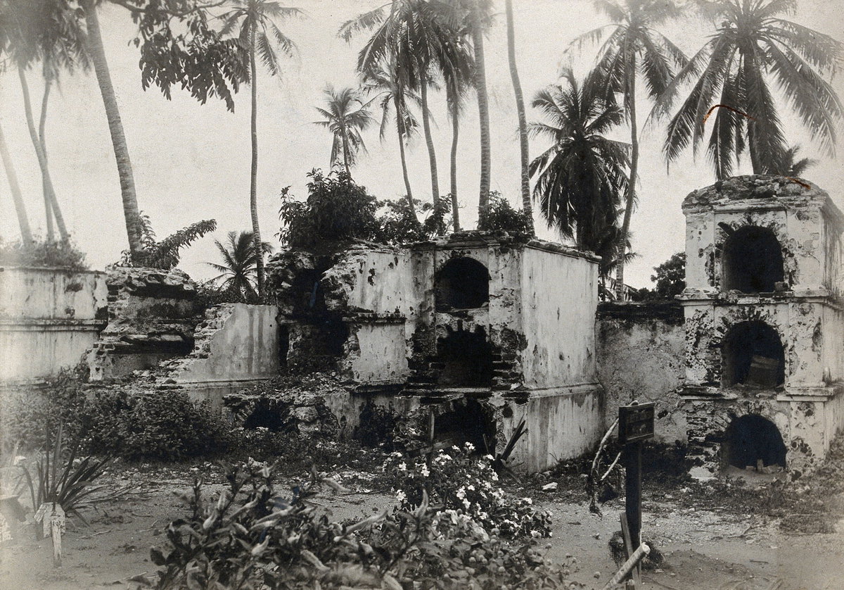 EU: Cartagena, Colombia: ruins of stone structures (graves?) surrounded by palm trees (1905), Cartagena, Colombia, 1905