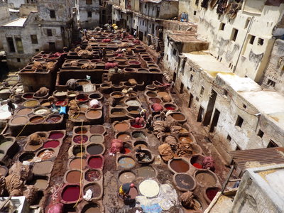 Fes in 2010, Fes, 2010