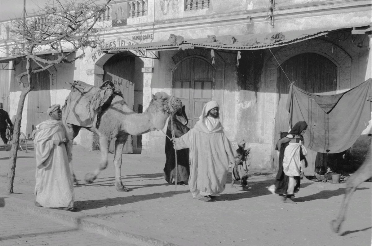 EU: Reisefotos Marokko. Straßenbild mit Kamelführer (wahrscheinlich in Casablanca) #018 (1939), Casablanca, Morocco, 1939