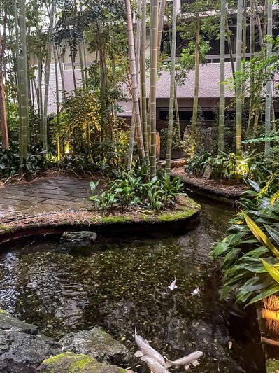 Gion in 2024, Kyoto, 2024