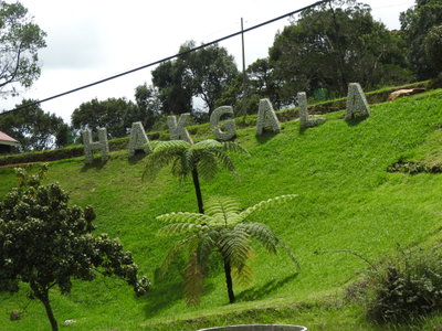 Hakgala botanical garden-2-nuwara eliya-Sri Lanka, Nuwara Eliya — photos through time