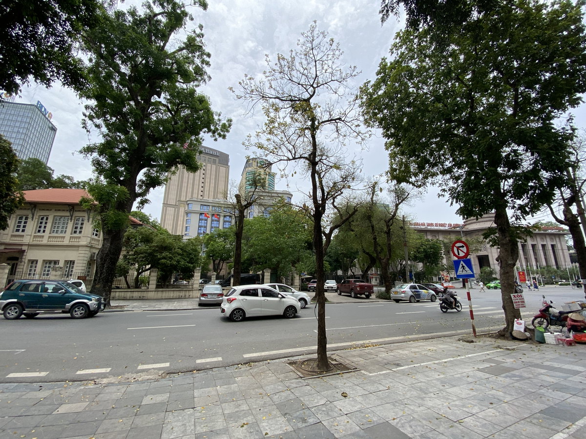 Lý Thái Tổ Street, Hanoi 04, Hanoi, Vietnam, 2022
