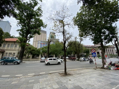 Lý Thái Tổ Street, Hanoi 04, Hanoi, 2022