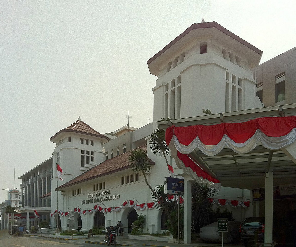 Ciptomangun hospital, Jakarta, Indonesia, 2011