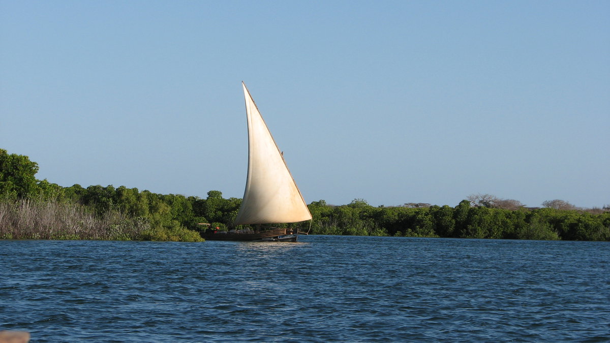 Mashua boat near Lamu, Lamu, Kenya, 2014