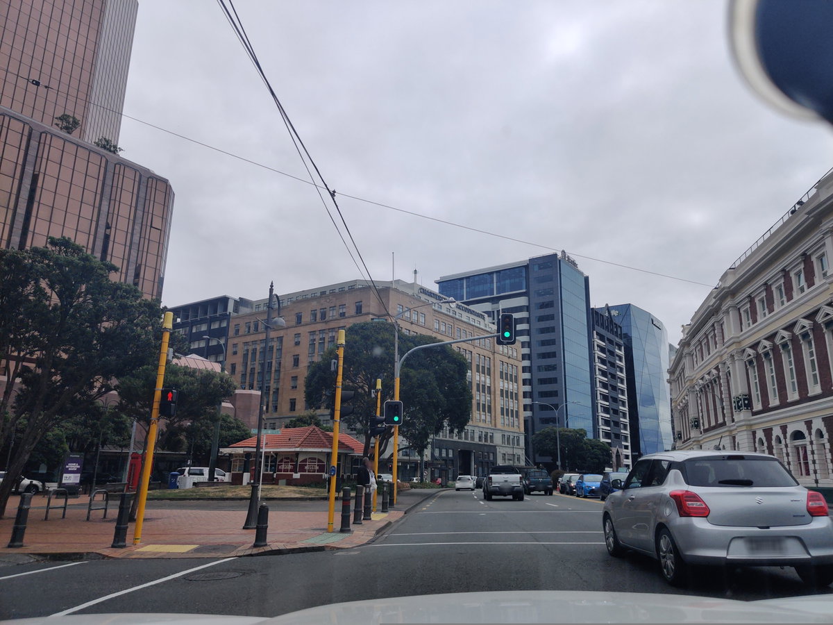 Mapillary (298240548496291, t5nqc5gmmyurknlocmdu5j) (elphix), Wellington, New Zealand, 2021