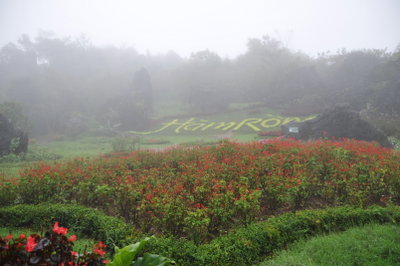Hàm rồng, Sa Pa, 2011