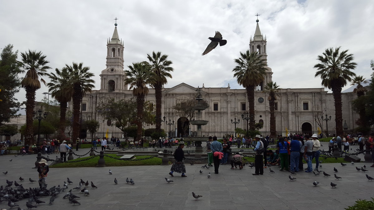 Arquipaplaza, Arequipa, Peru, 2016