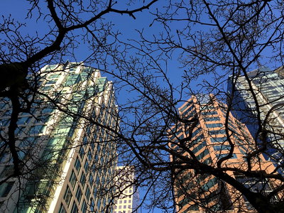 We All Reach for the Blue Sky, Vancouver, 2015