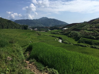 Rice terraces in Sa Pa 03, Sa Pa, 2018