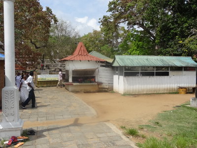 Jaya Sri Maha Bodhi 20, Anuradhapura, 2013