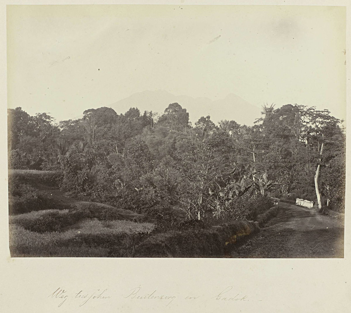 EU: Weg tusschen Buitenzorg en Gadok (1863), Bogor, Indonesia, 1863