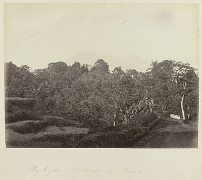 EU: Weg tusschen Buitenzorg en Gadok (1863), Bogor, 1863
