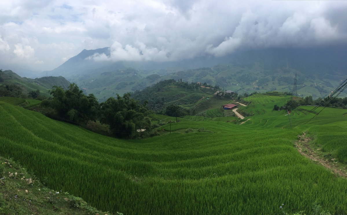 Rice terraces in Sa Pa 02, Sa Pa, Vietnam, 2018