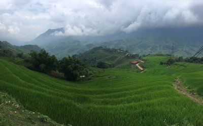 Rice terraces in Sa Pa 02, Sa Pa, 2018