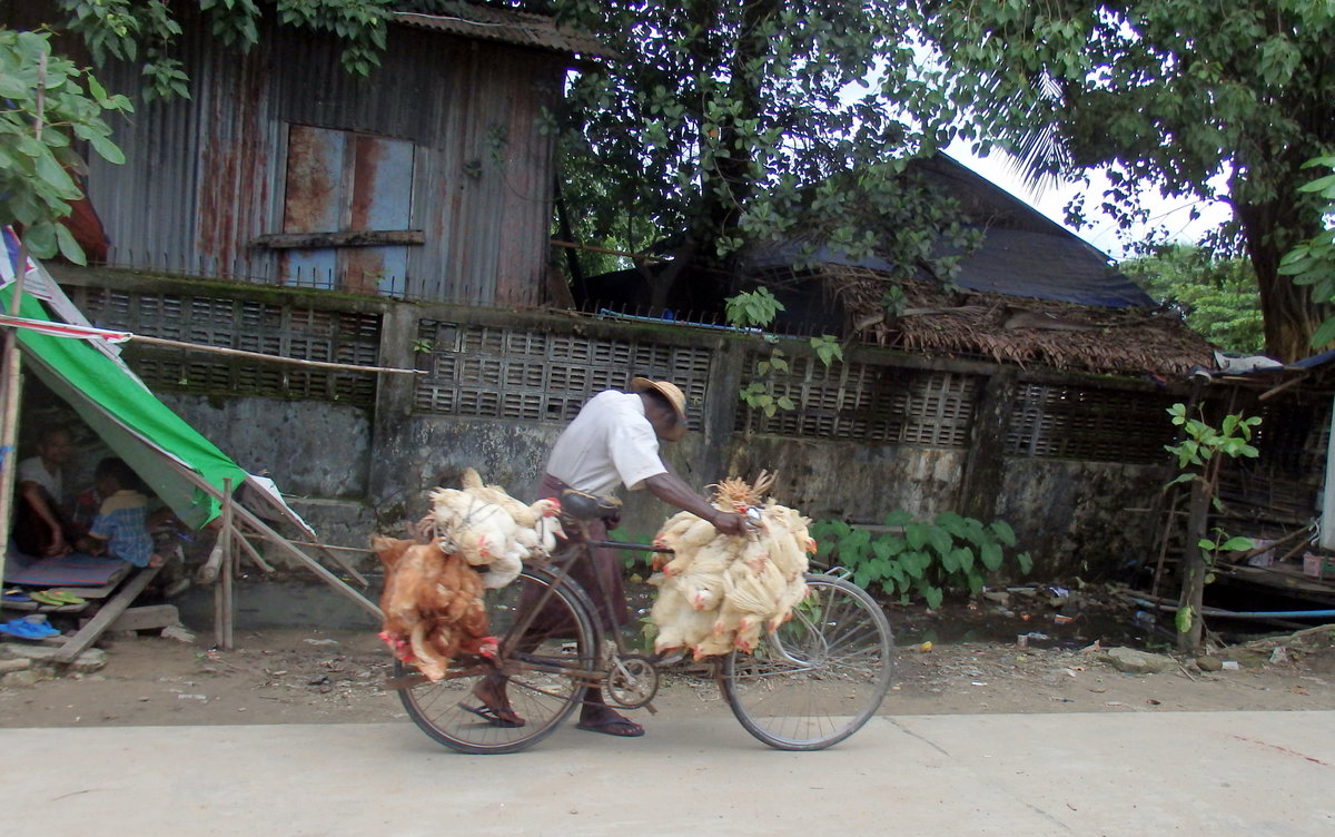 Yangon, Myanmar (Burma), Yangon, Myanmar, 2015