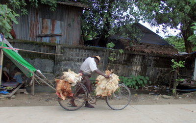 Yangon, Myanmar (Burma), Yangon, 2015