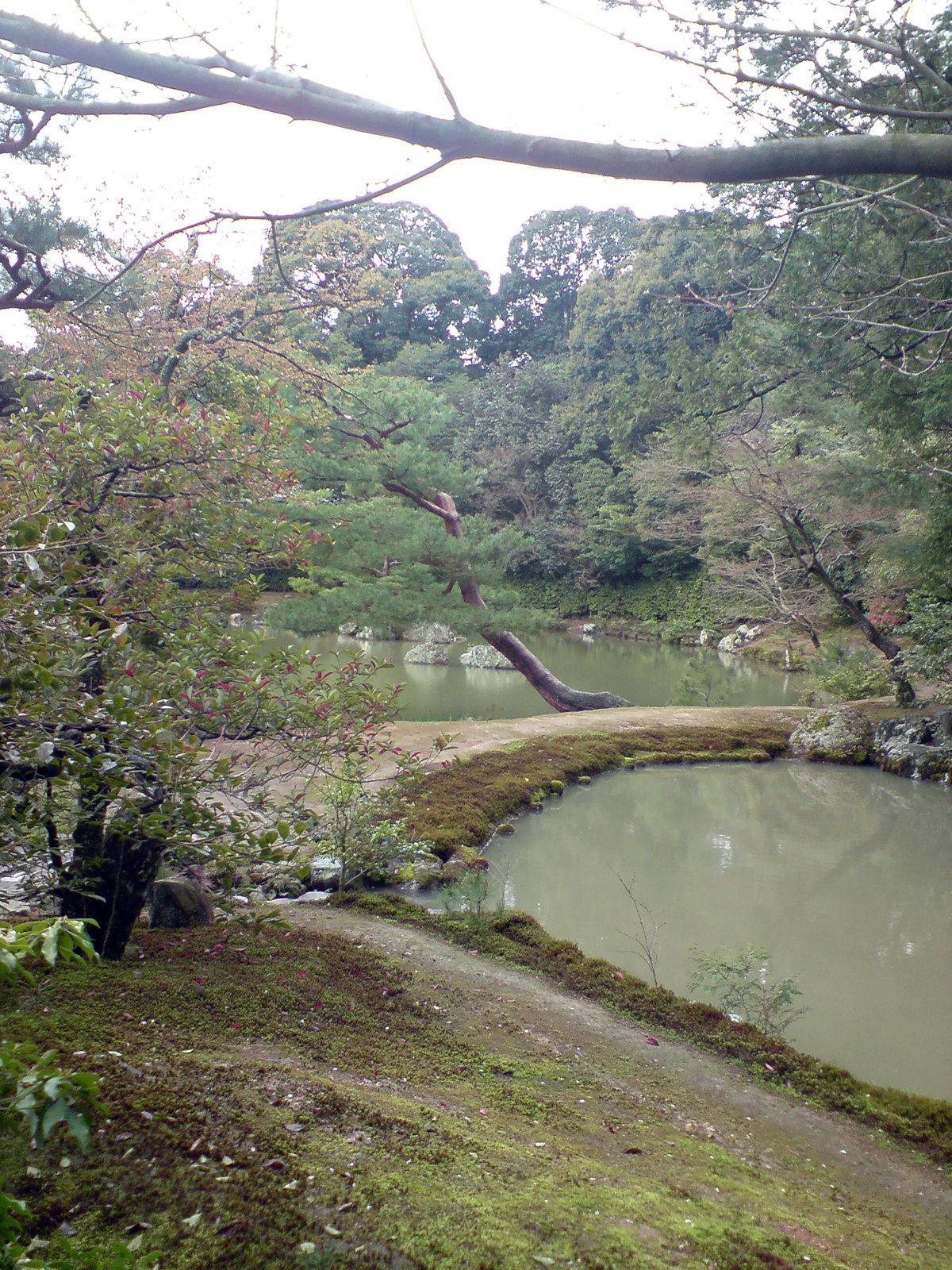 Kyoto Golden Pavillion, Kyoto, Japan, 2008