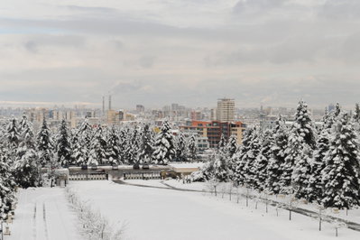 Sofia From The South, Sofia, 2015