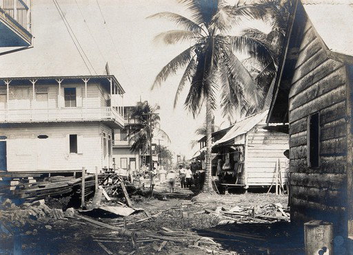 EU: Colón, Panama: unpaved street with wooden houses and palm trees: building debris scattered in foregound; people visible in middle distance. Photograph, (1906), Colón, Panama, 1906