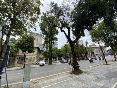 Lý Thái Tổ Street, Hanoi 03, Hanoi, 2022