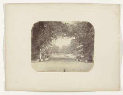 EU: Het stadspark van Surabaya (1876), Surabaya, 1876