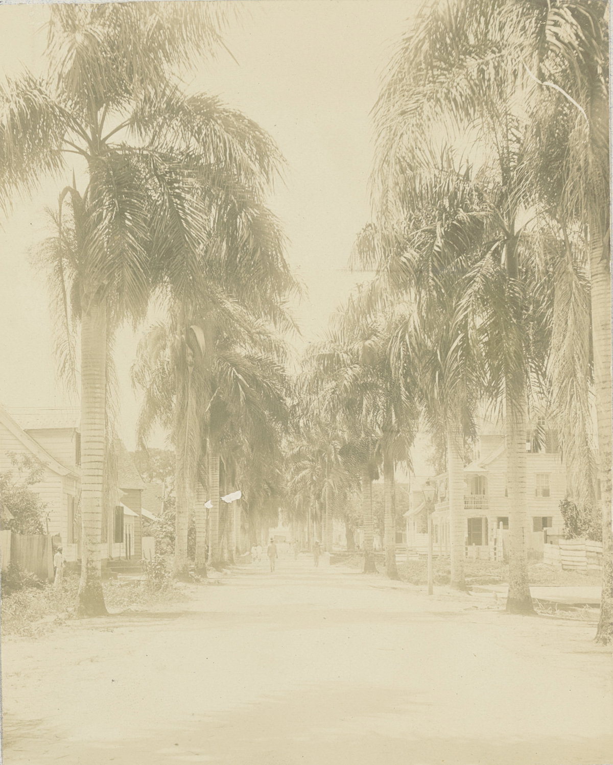 EU: Jodenbreestraat in Paramaribo (1908), Paramaribo, Suriname, 1908