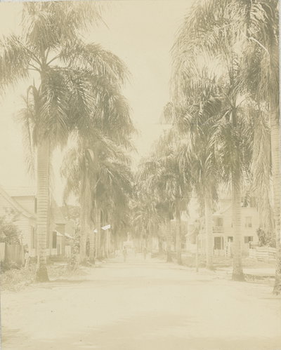 EU: Jodenbreestraat in Paramaribo (1908), Paramaribo, 1908