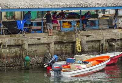 Boats by Town Wharf - Flickr - mikecogh, Suva, 2019