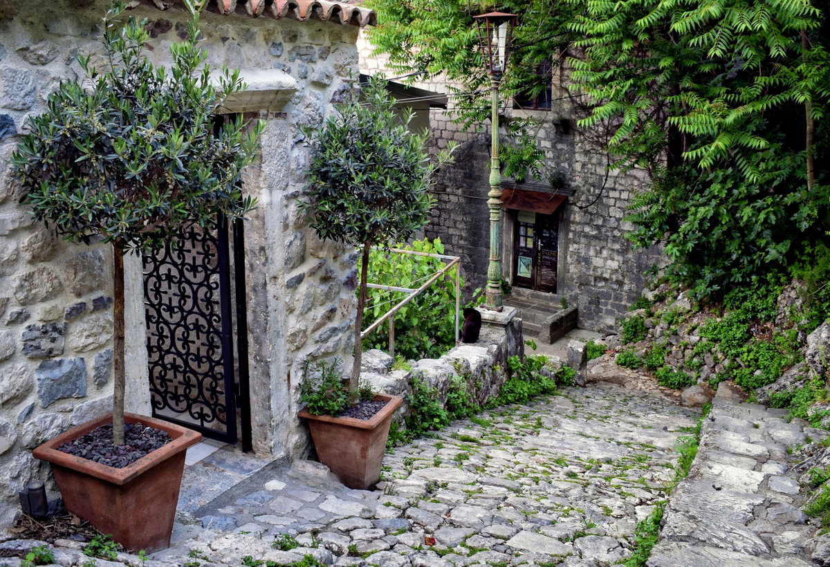 Quiet Street in Kotor, Kotor, Montenegro, 2025