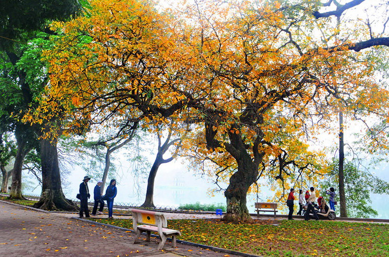 TRƯỚC CƠN GIÔNG, Hanoi, Vietnam, 2012
