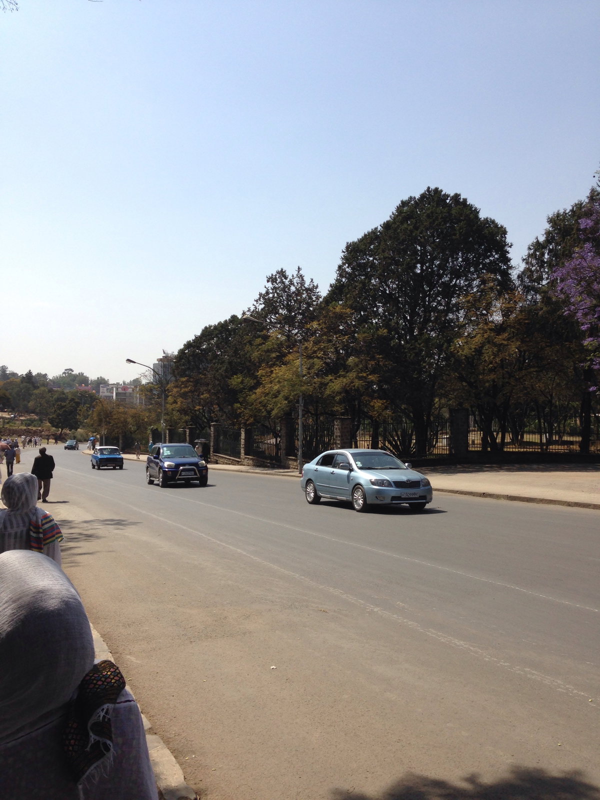 AfricaPark fromMenelikIIAvenue, Addis Ababa, Ethiopia, 2014