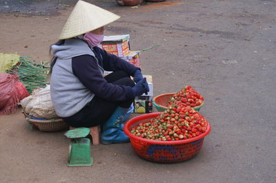 Da Lat, Da Lat, 2012
