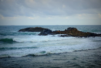 Gallestones, Galle, 2014