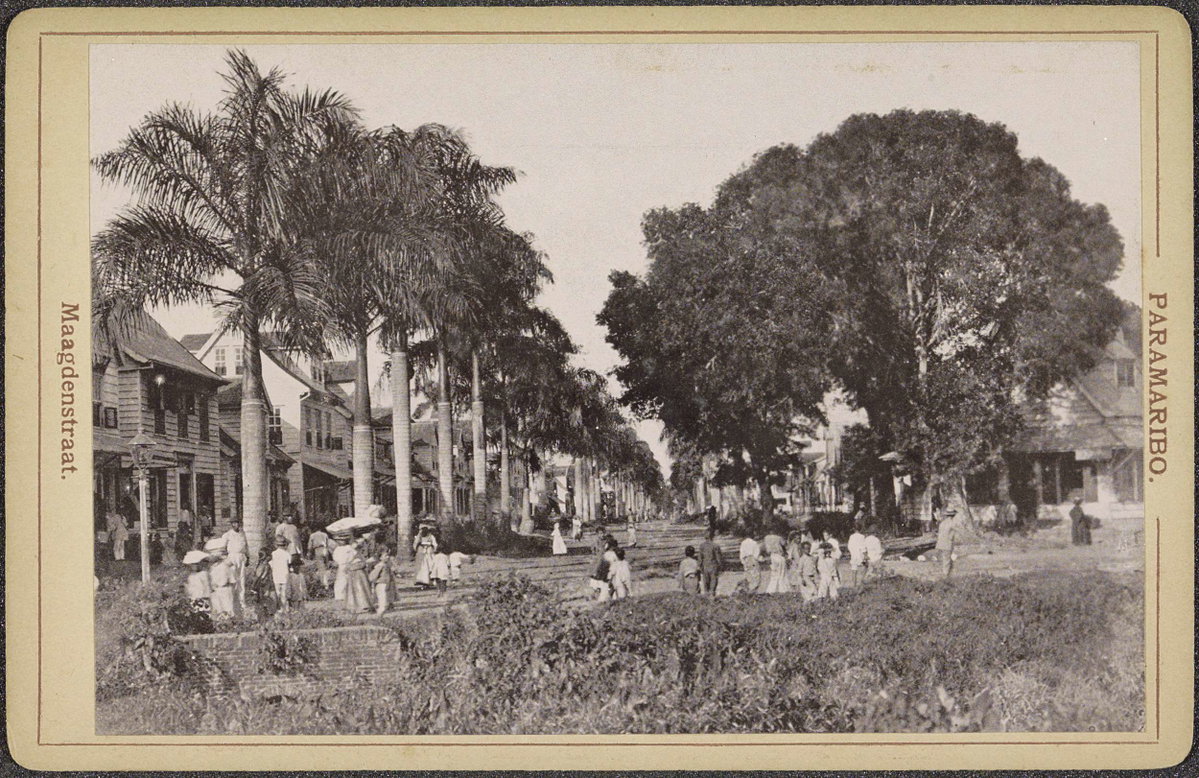 EU: Maagdenstraat in Paramaribo met bomen en voorbijgangers (1910), Paramaribo, Suriname, 1910