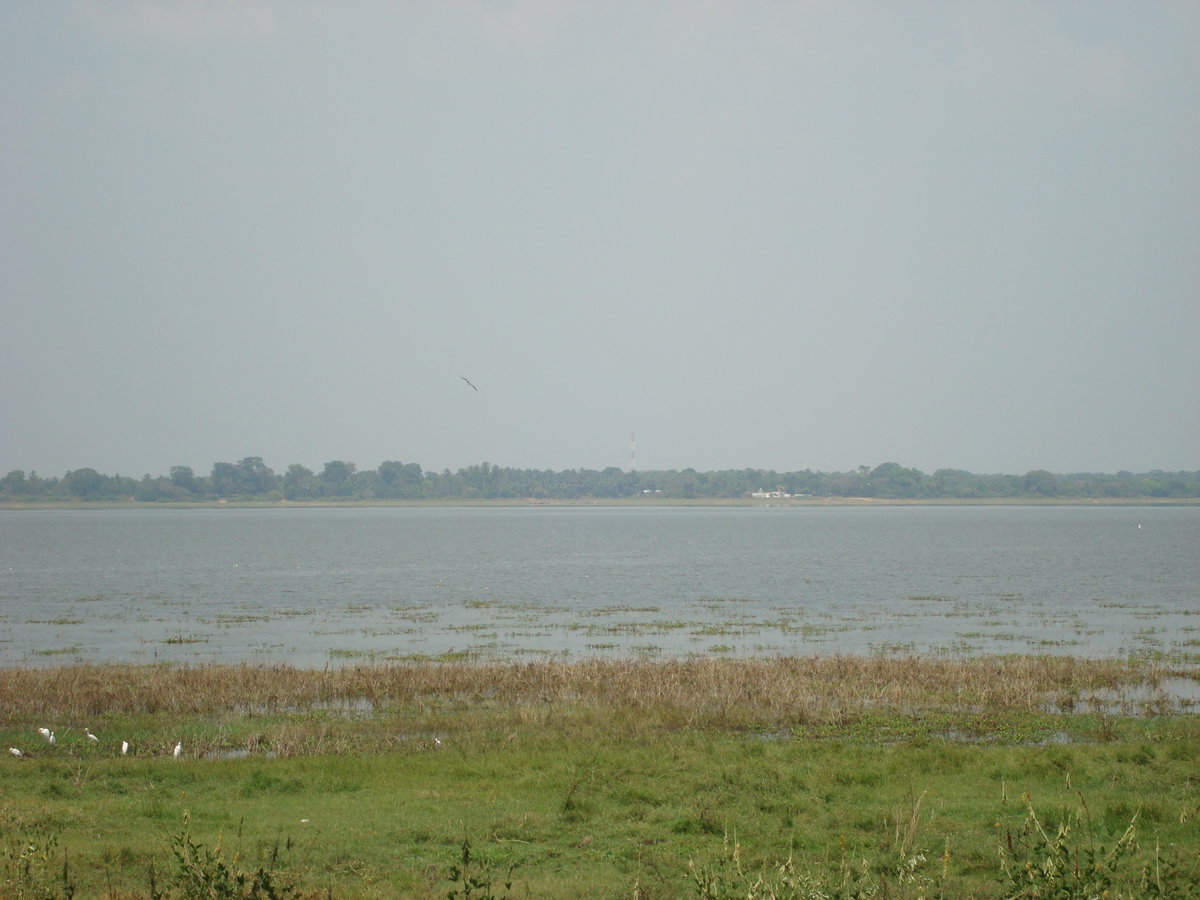Anuradhapura - Sri Lanka, Anuradhapura, Sri Lanka, 2010