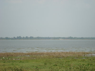 Anuradhapura - Sri Lanka, Anuradhapura, 2010