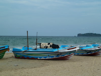 Trincomalee, la plage des pêcheurs, Trincomalee — photos through time