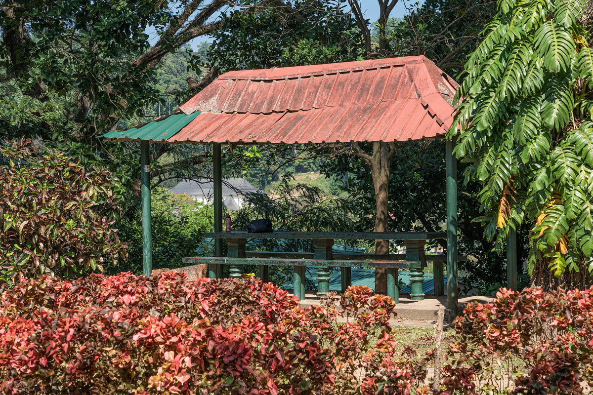 SL Kandy Wace Park, Kandy, Sri Lanka, 2020