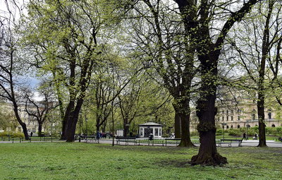Planty Park, Andrzej Wajda Square, Szpitalna Street, Old Town, Kraków, Poland, Kraków, 2024