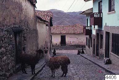 EU: Pumacuru, fotografi, photograph (1980), Cusco, Peru, 1980