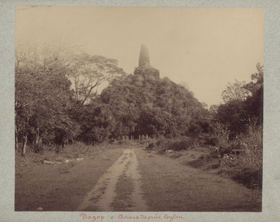 EU: Stupa Abhajagiri (1890), Anuradhapura, 1890