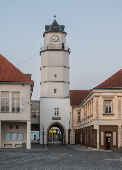 Dolna brana in Trencin, Trenčín, 2021