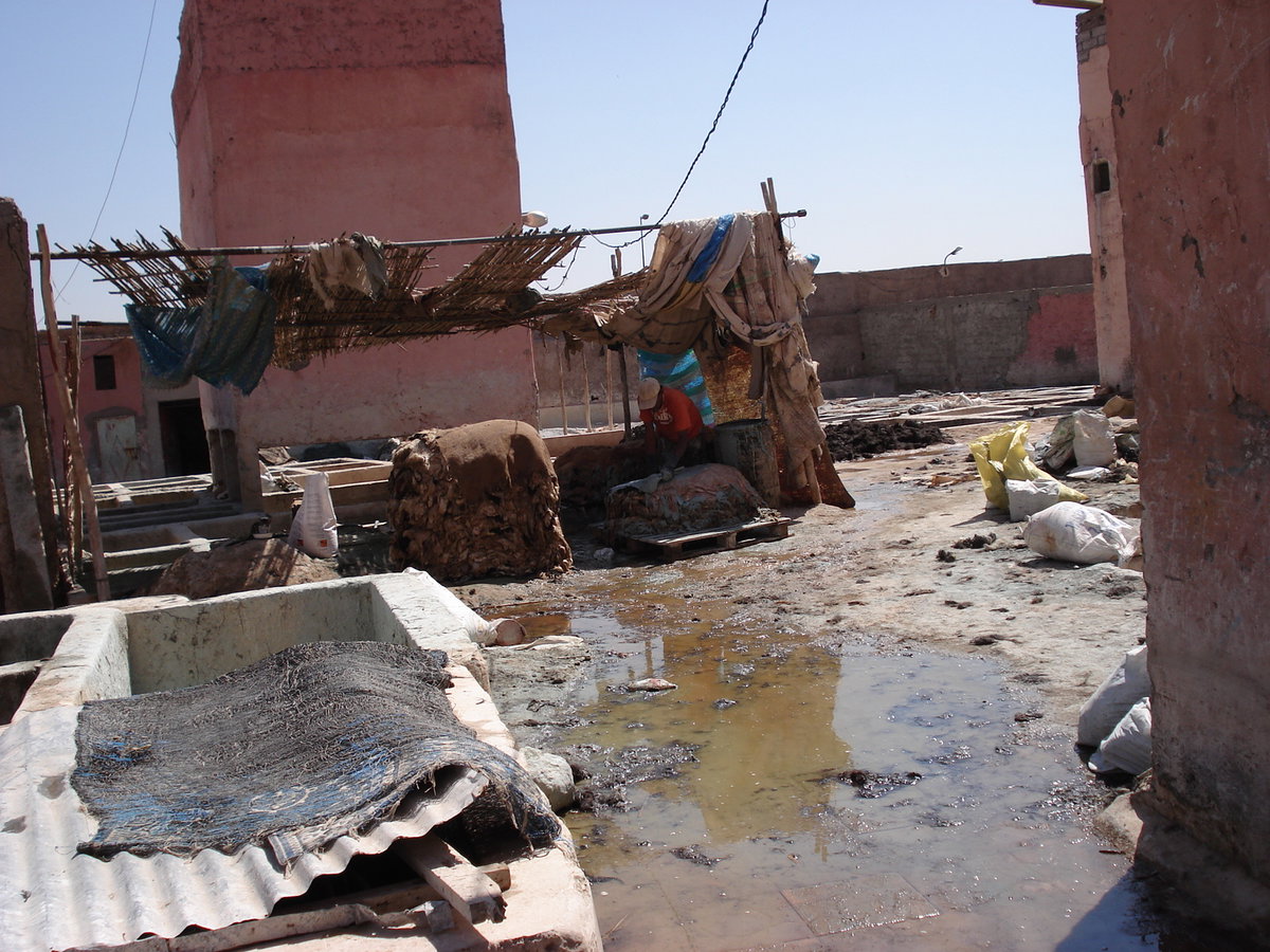 Marrakech tanneries, Marrakesh, Morocco, 2006