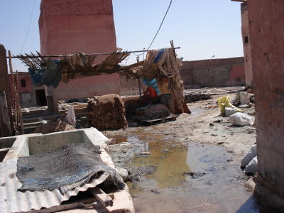 Marrakech tanneries, Marrakesh, 2006