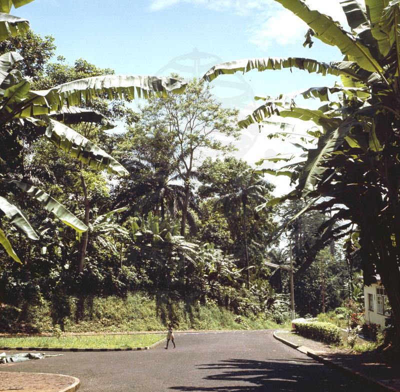 EU: Estradas de São Tomé (1966), São Tomé, São Tomé and Príncipe, 1966