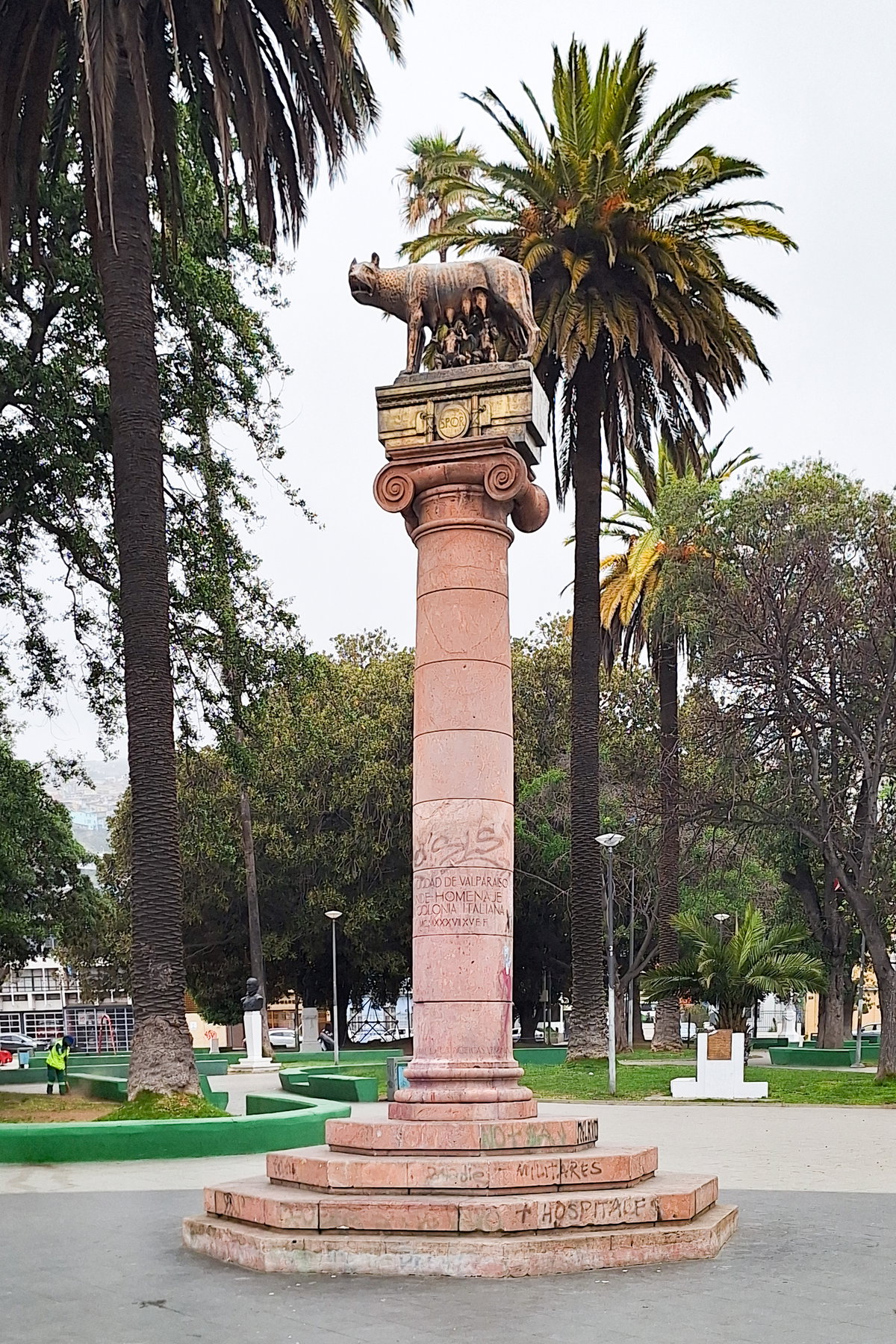 Loba Capitolina, Valparaíso, Valparaíso, Chile, 2024