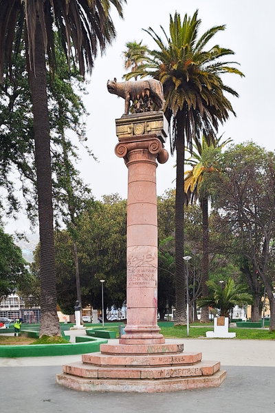 Loba Capitolina, Valparaíso, Valparaíso, 2024